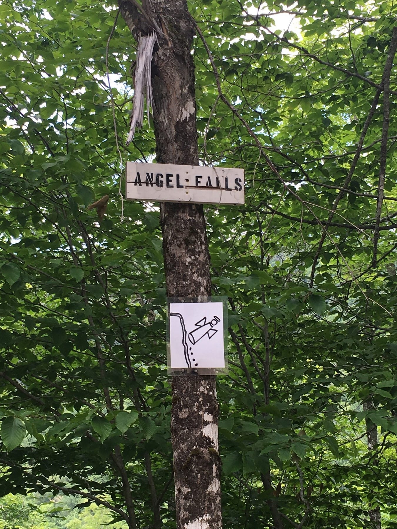 Trail Sign at Angel Falls in Maine.