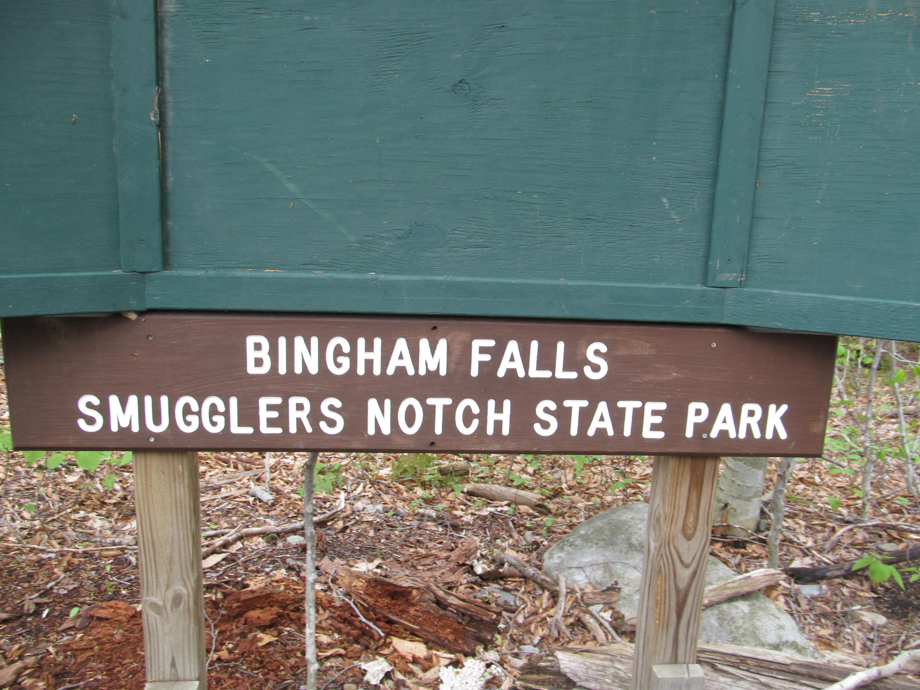 Bingham Falls freshwater swim scene in Vermont.