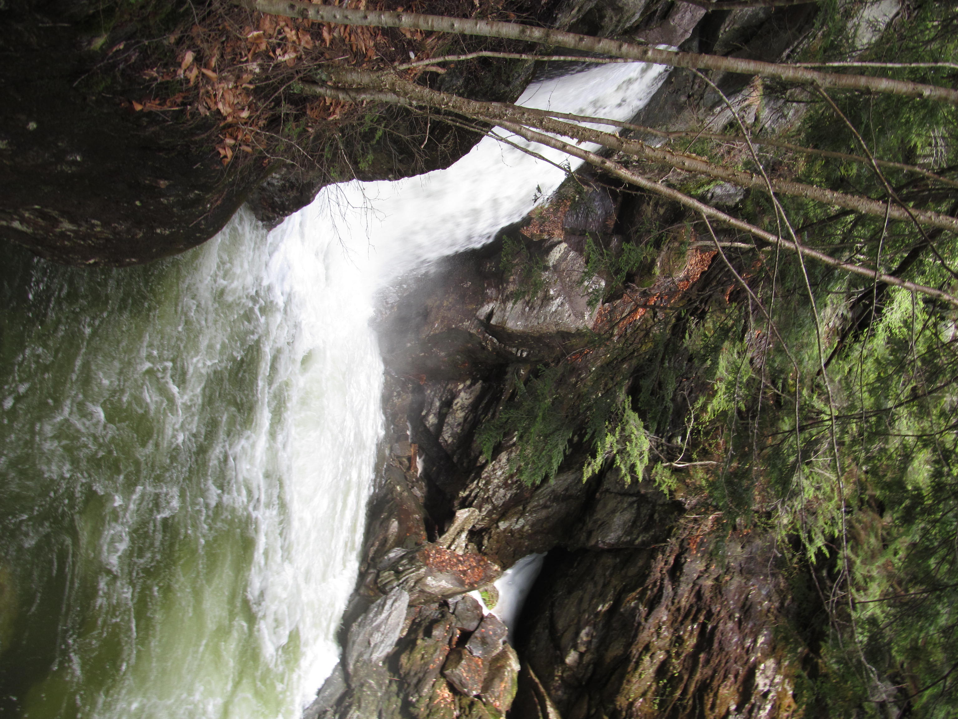 Bingham Falls freshwater swim scene in Vermont.