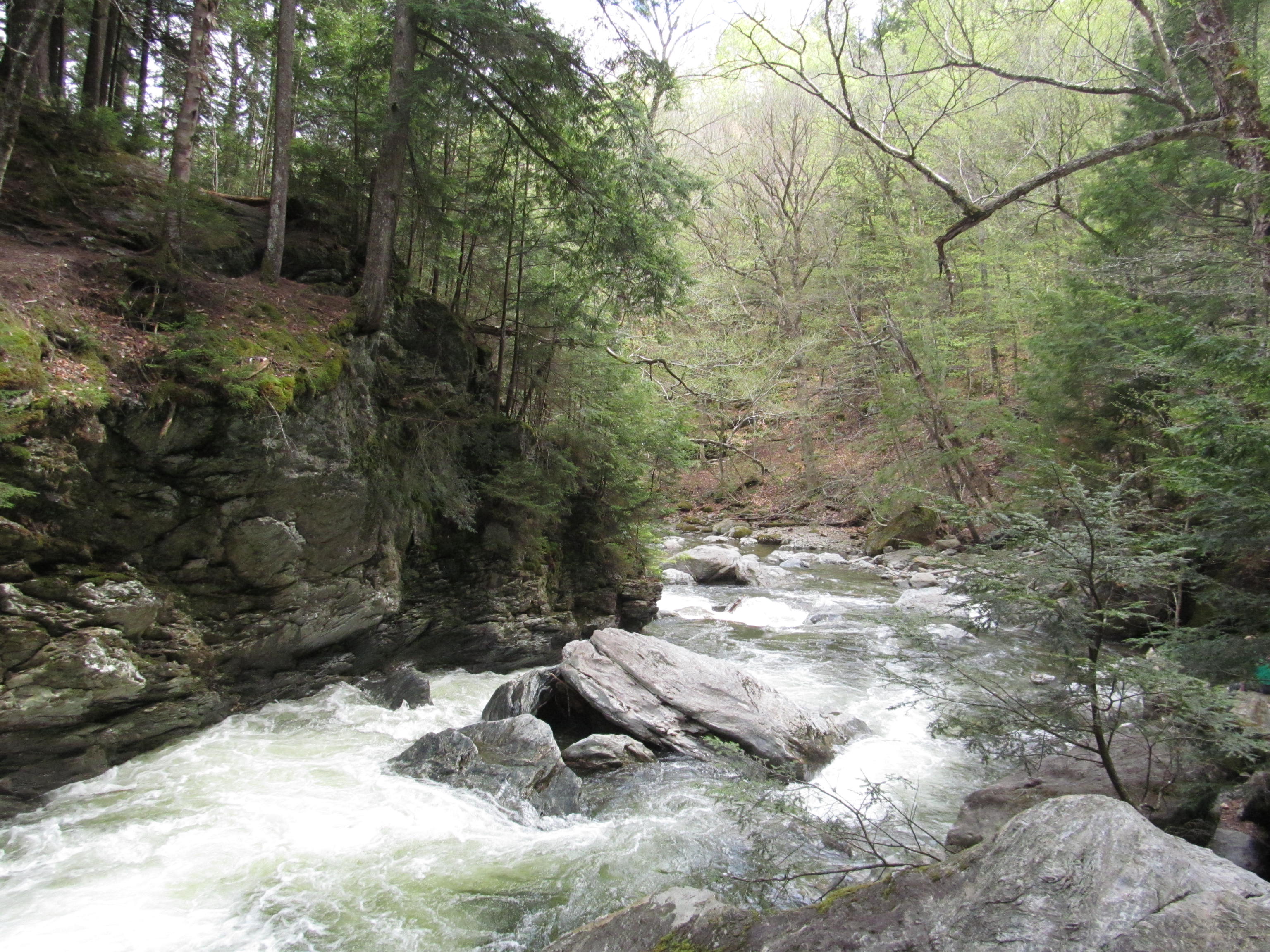 Bingham Falls freshwater swim scene in Vermont.