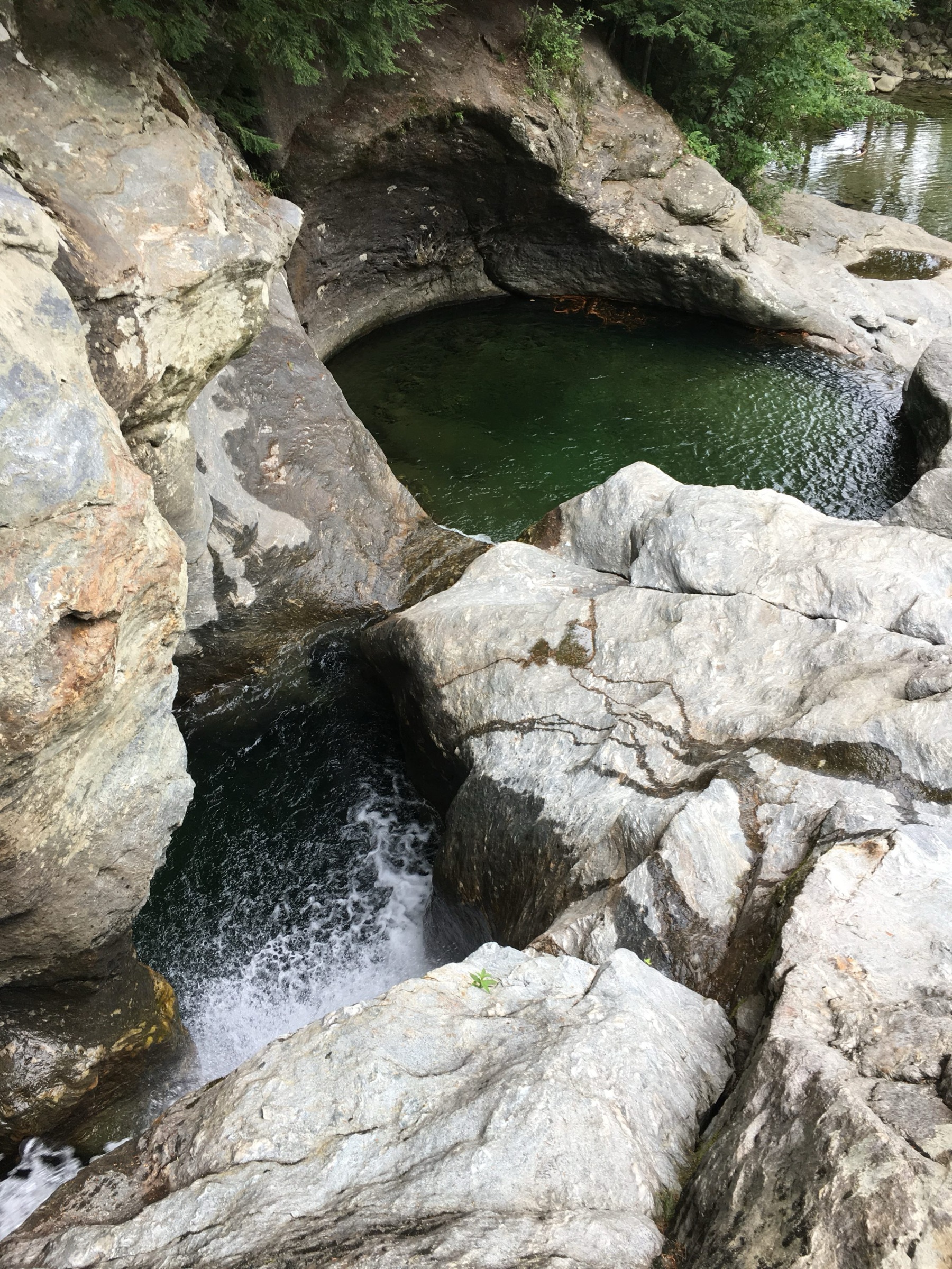 A round pothole pool sits between pale rock ledges at Bolton Potholes.