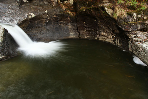 A shaded pothole pool sits below the ledges at Bolton Potholes.