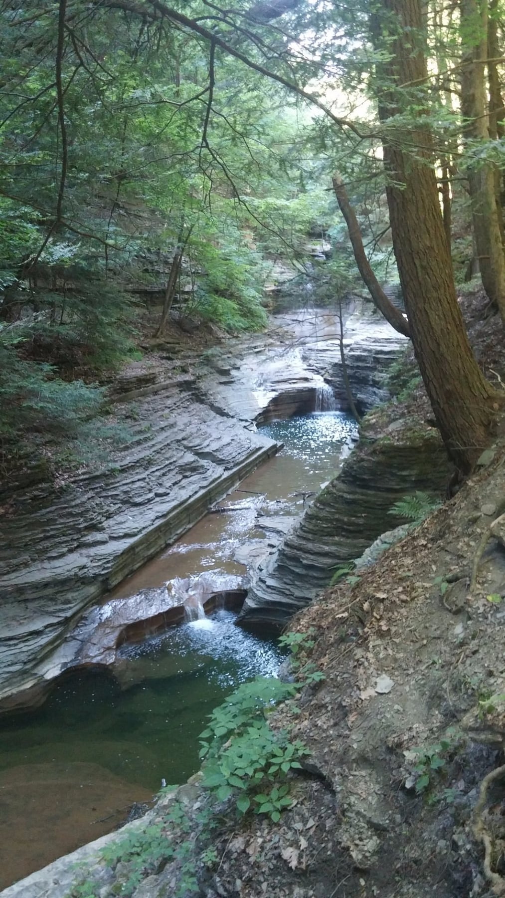 Layered rock gorge and small cascades at Buttermilk Falls in Connecticut.