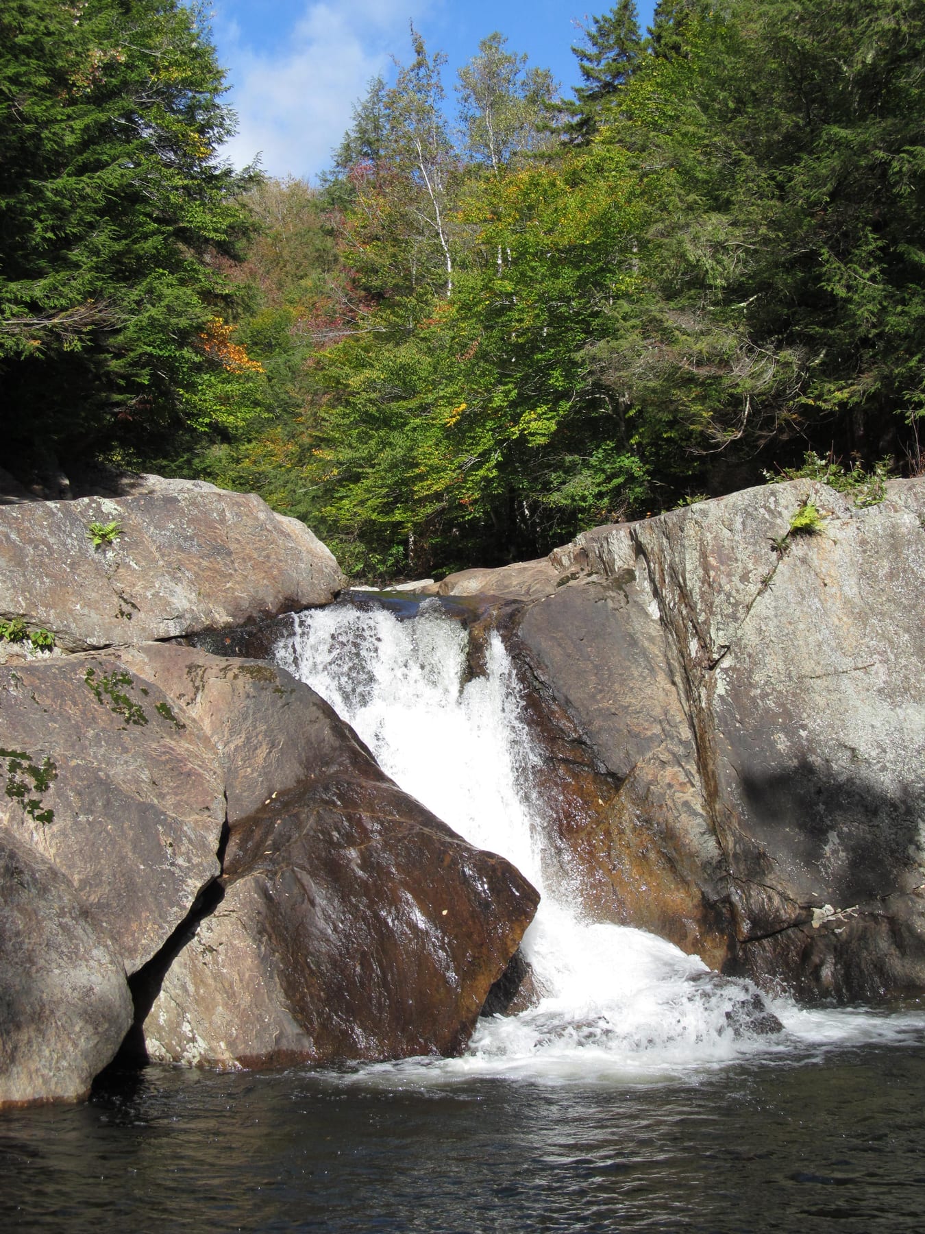 Forest Pool at Buttermilk Falls in Vermont.