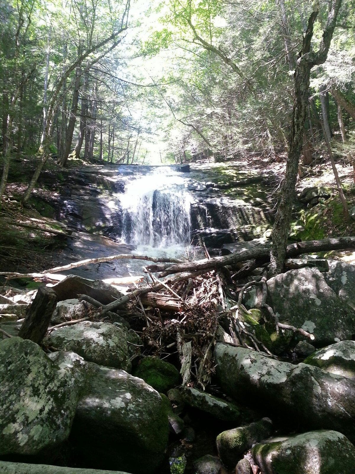 Chapel Falls framed by forest, boulders, and fallen branches at Chapel Brook Reservation.