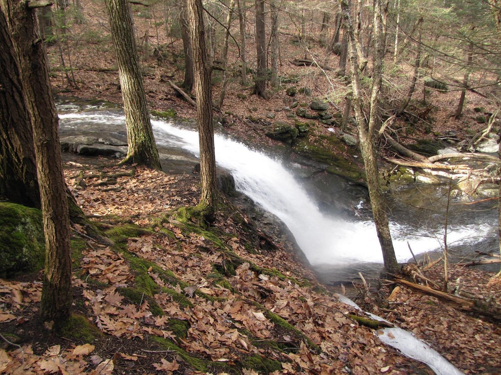 Side view of water sliding over Chapel Brook ledges through leaf-covered forest.