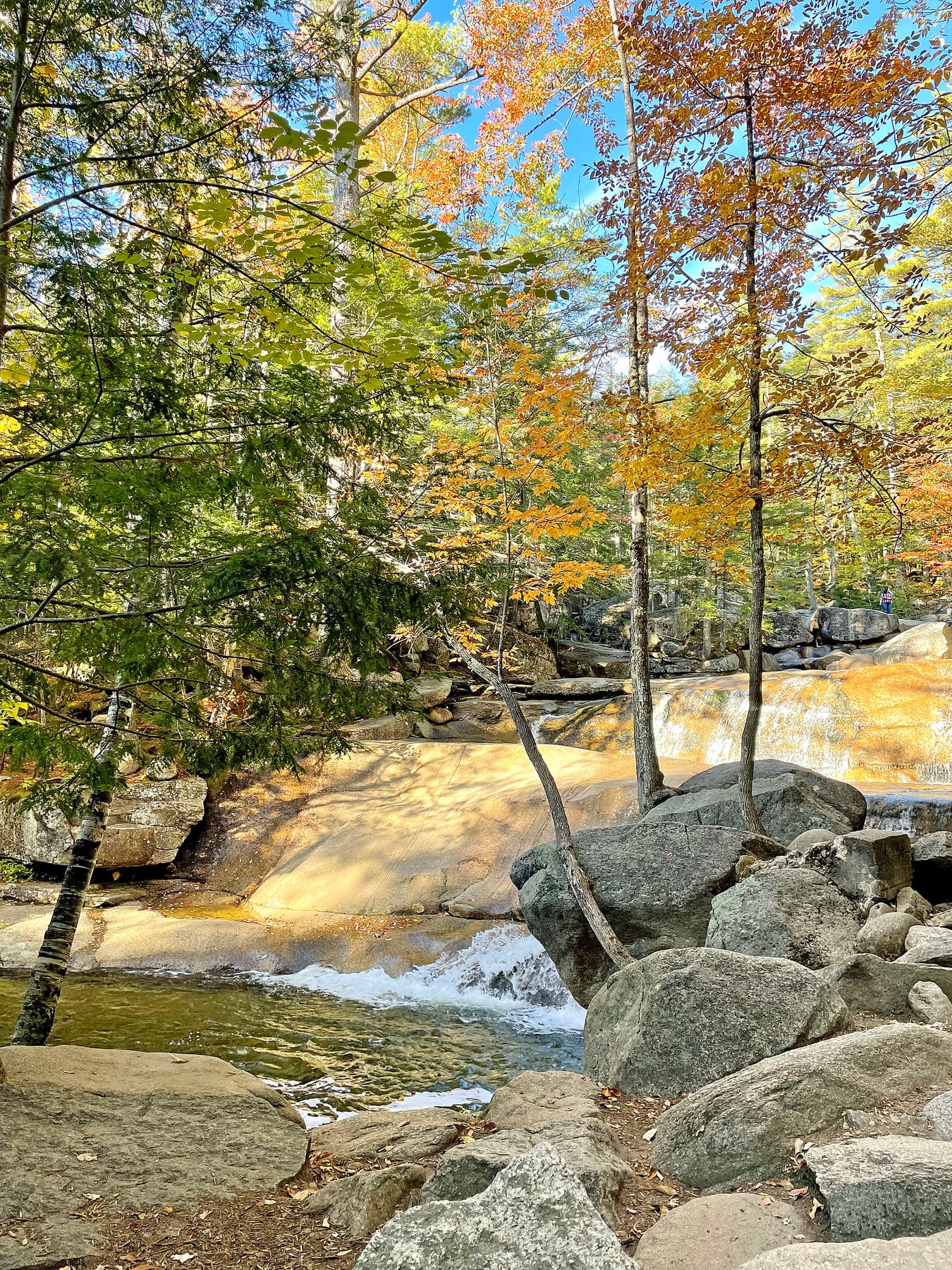 Autumn trees above granite ledges and rushing water at Diana's Baths.