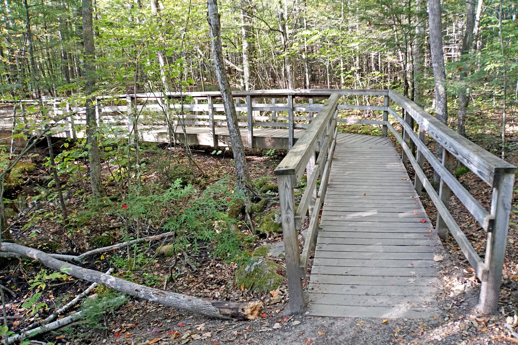 Wooden boardwalk through the forest on the approach to Diana's Baths in New Hampshire.