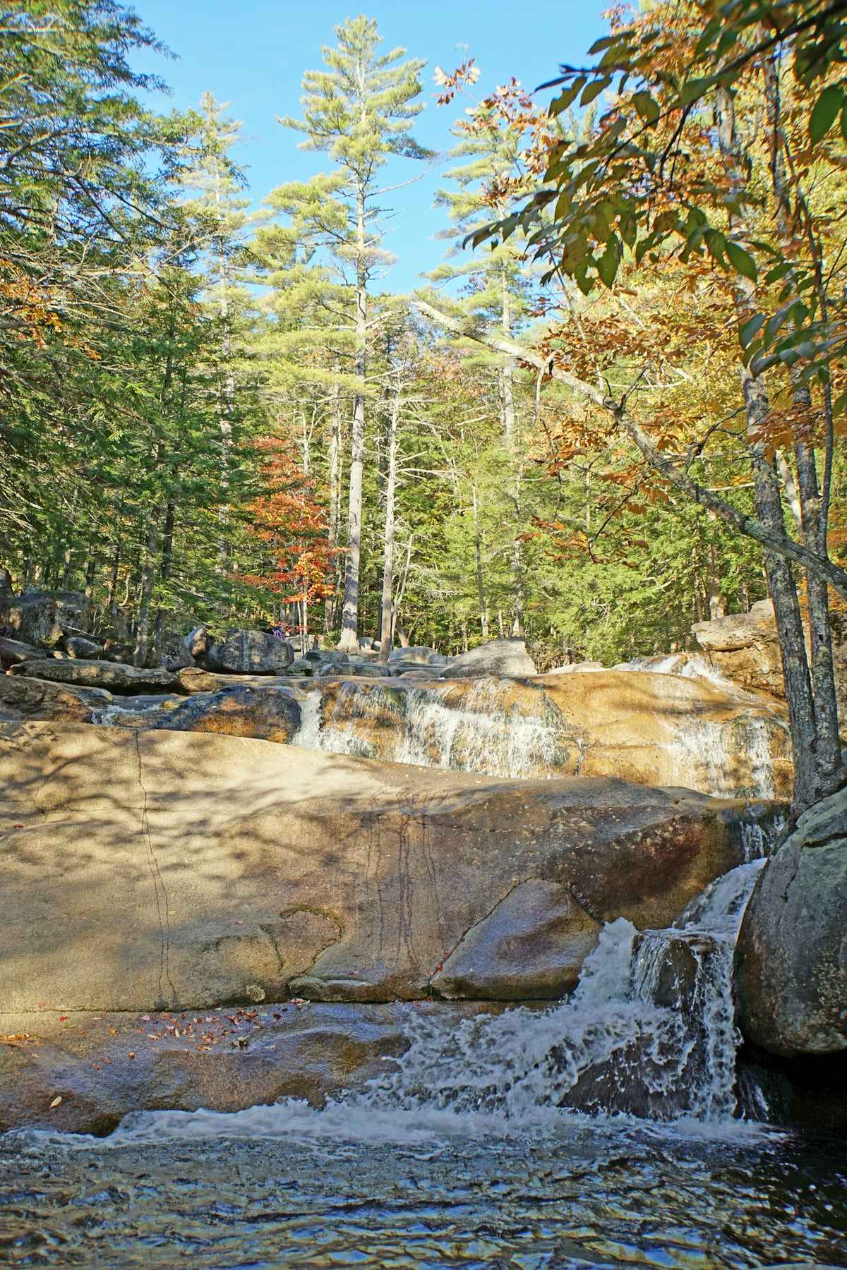 Forest-framed cascades and granite shelves at Diana's Baths in Conway.
