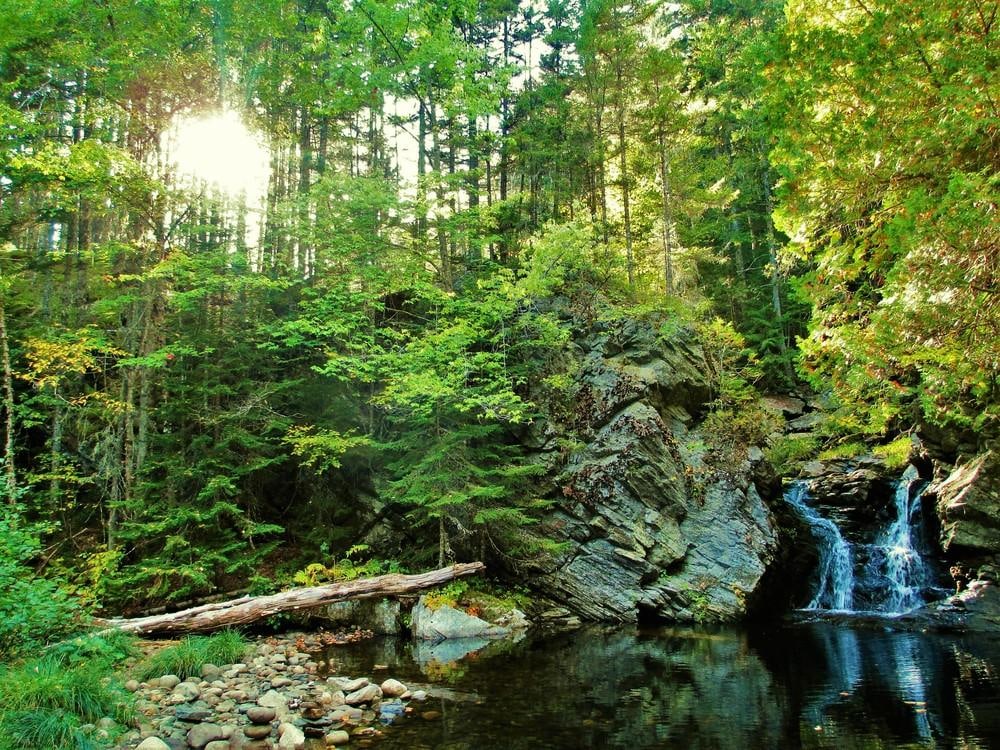 Rocky Stream at Dunn Falls in Maine.