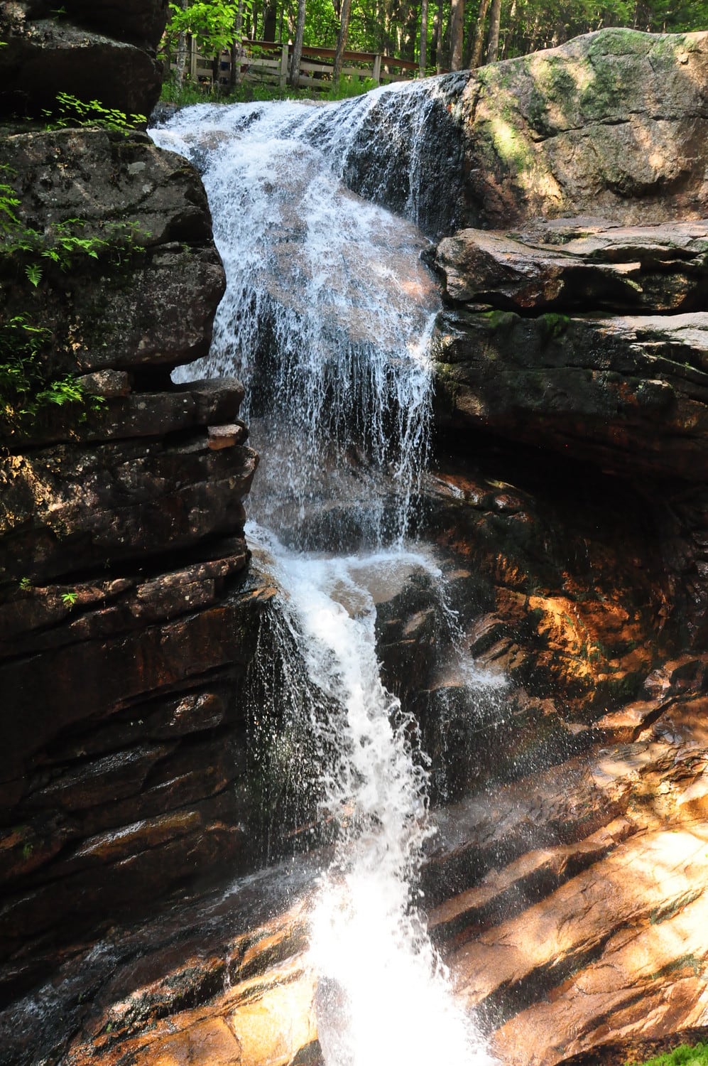 Avalanche Falls dropping between dark rock walls at Flume Gorge.