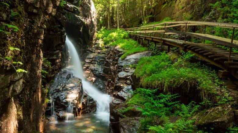 Franconia Falls freshwater swim scene in New Hampshire.