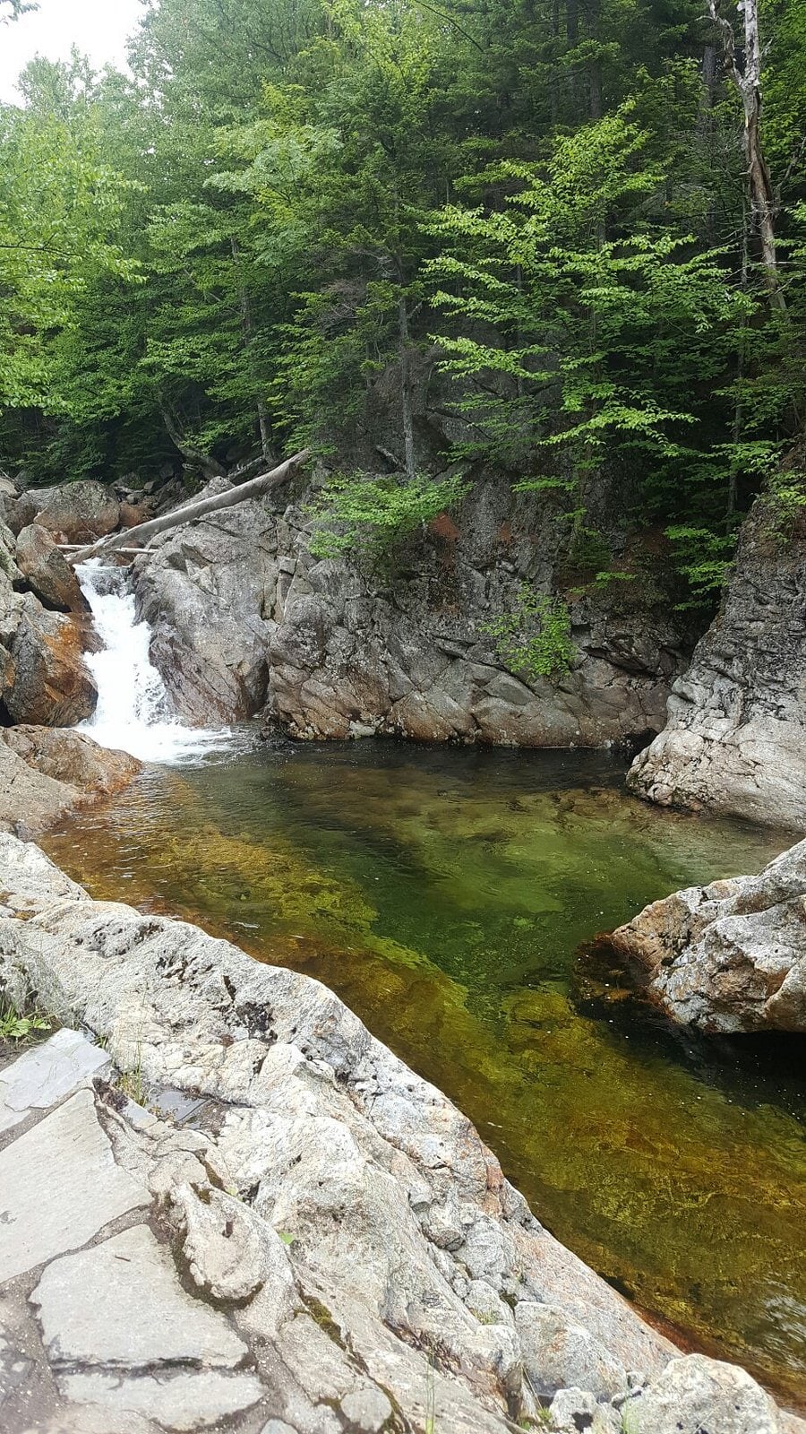Clear Pool at Glen Ellis Falls in New Hampshire.