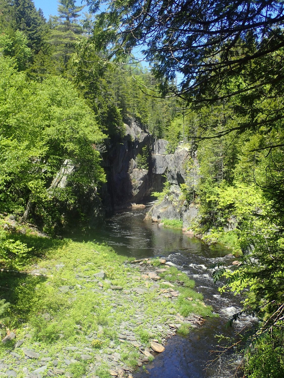 Forest Stream at Gulf Hagas in Maine.