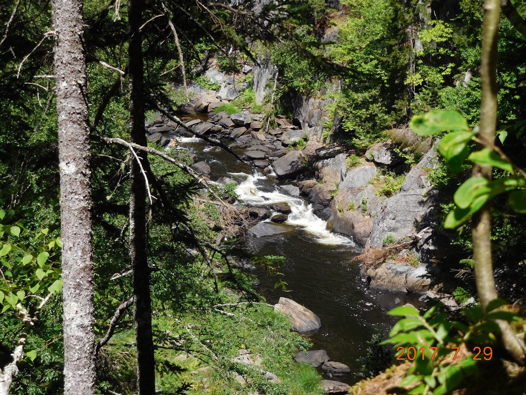 Rim Trail Forest at Gulf Hagas in Maine.