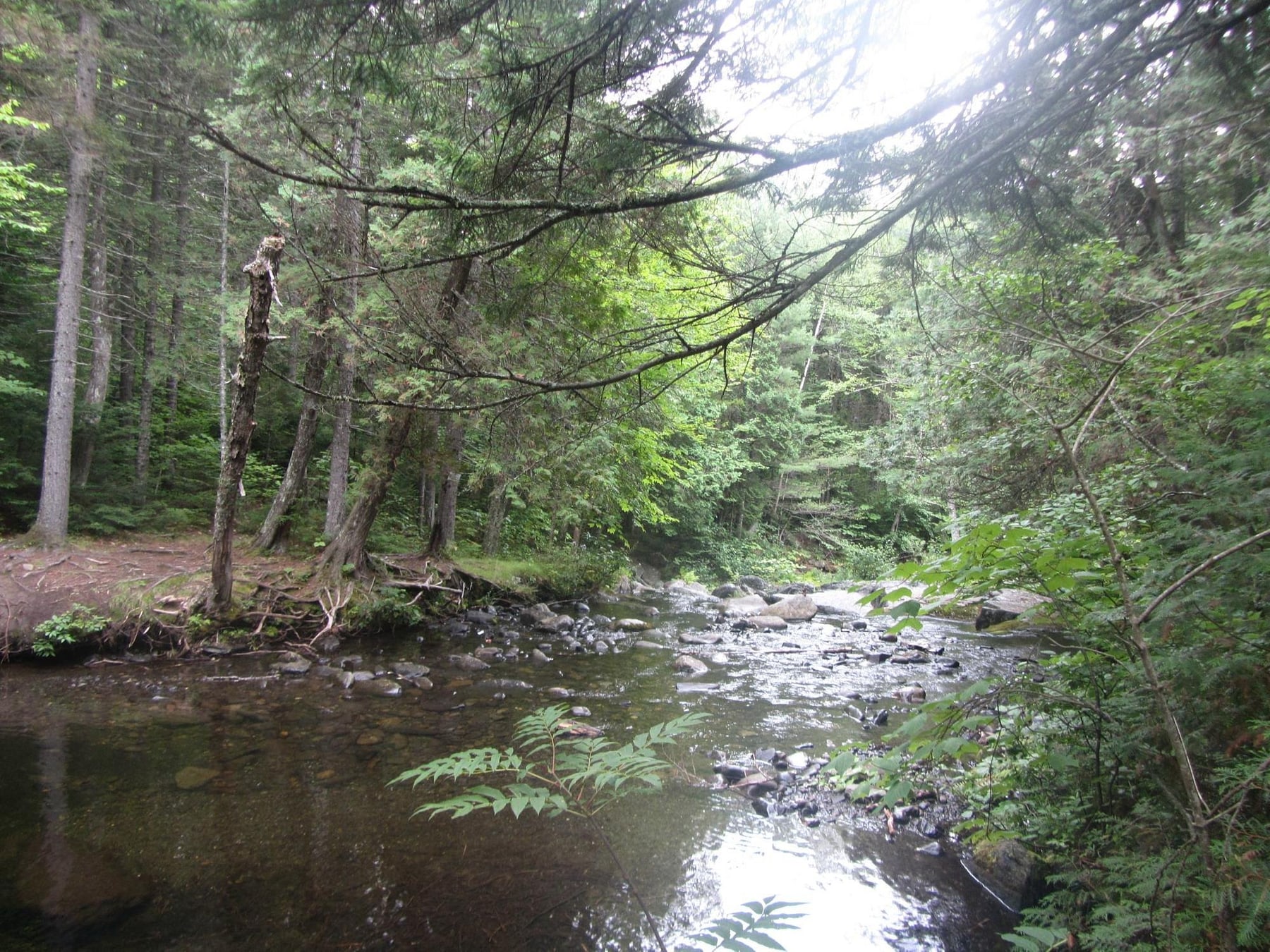 River Canyon at Gulf Hagas in Maine.