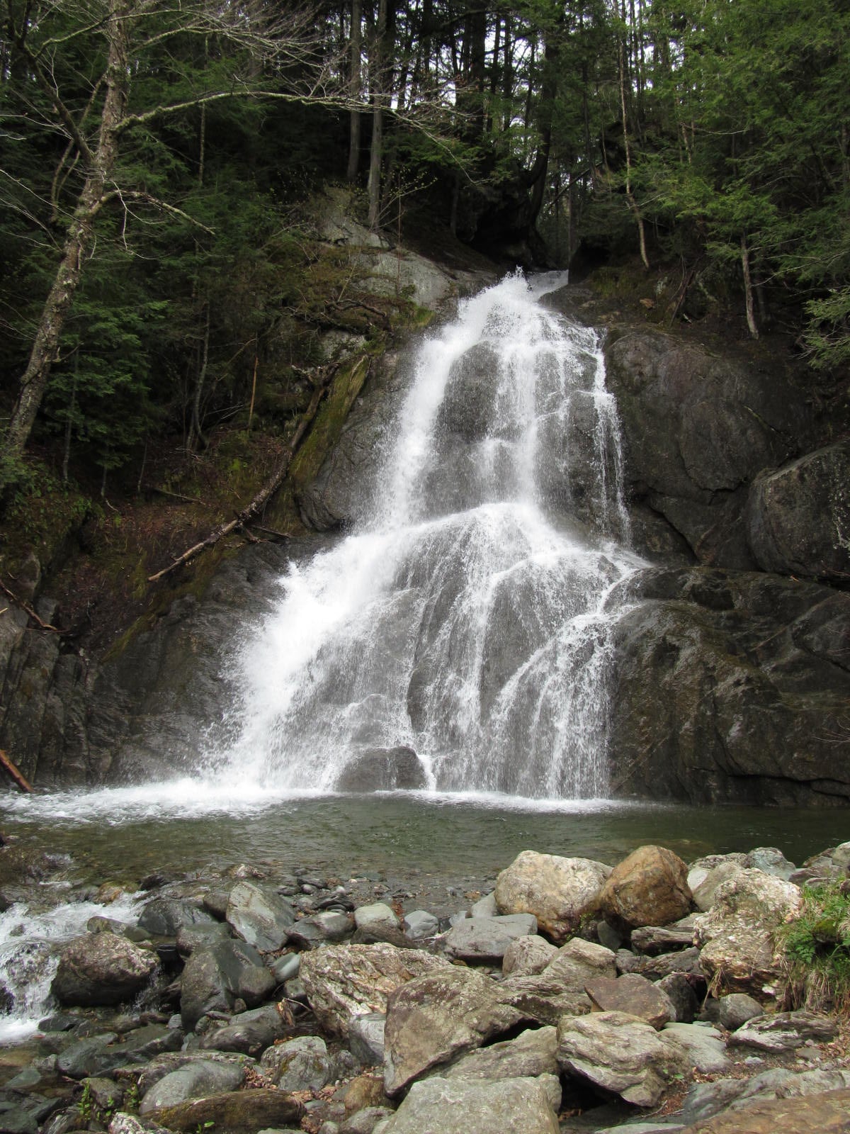 Tall vertical view of Moss Glen Falls in Granville framed by dark evergreens.