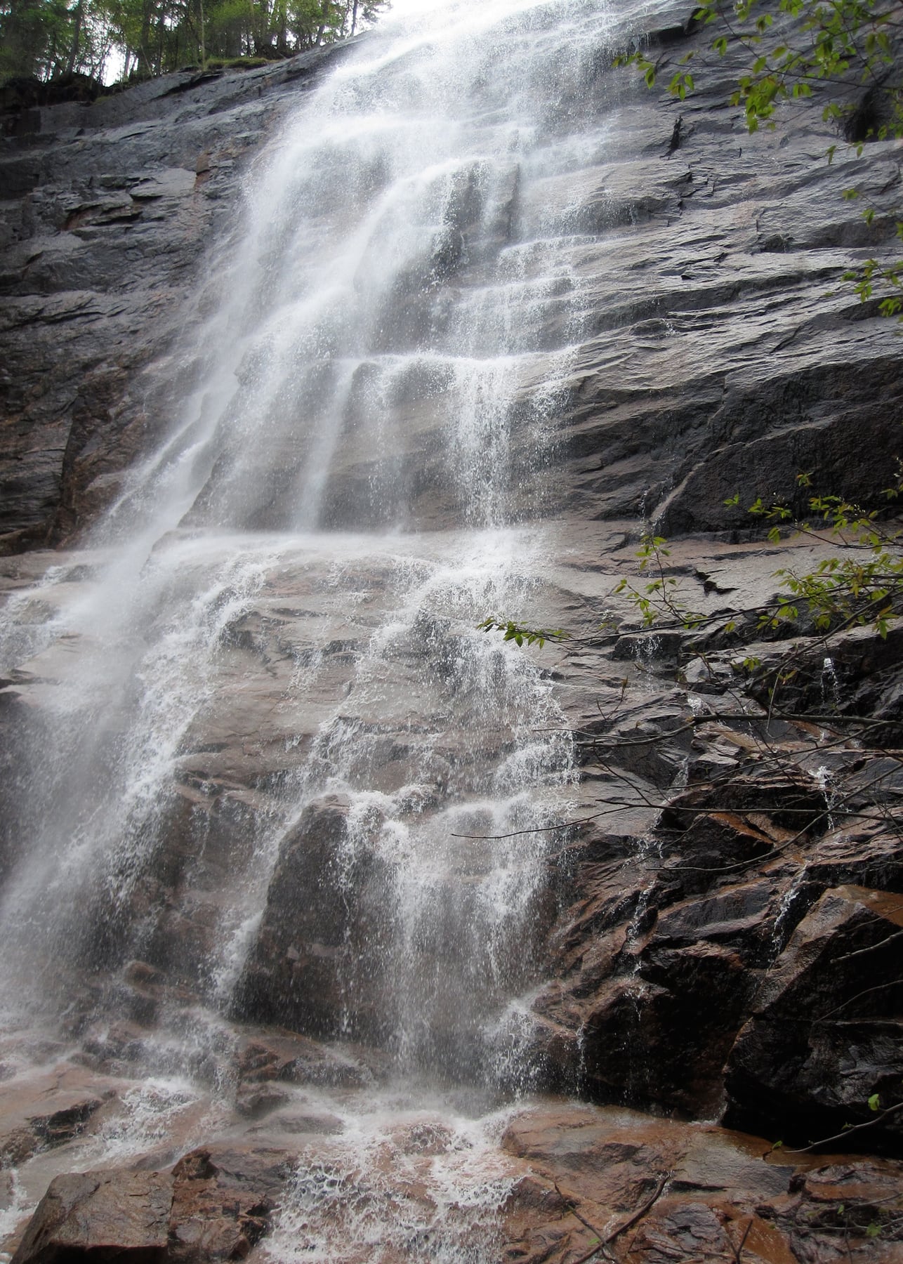 Spring flow pours over the main cascade at Arethusa Falls.
