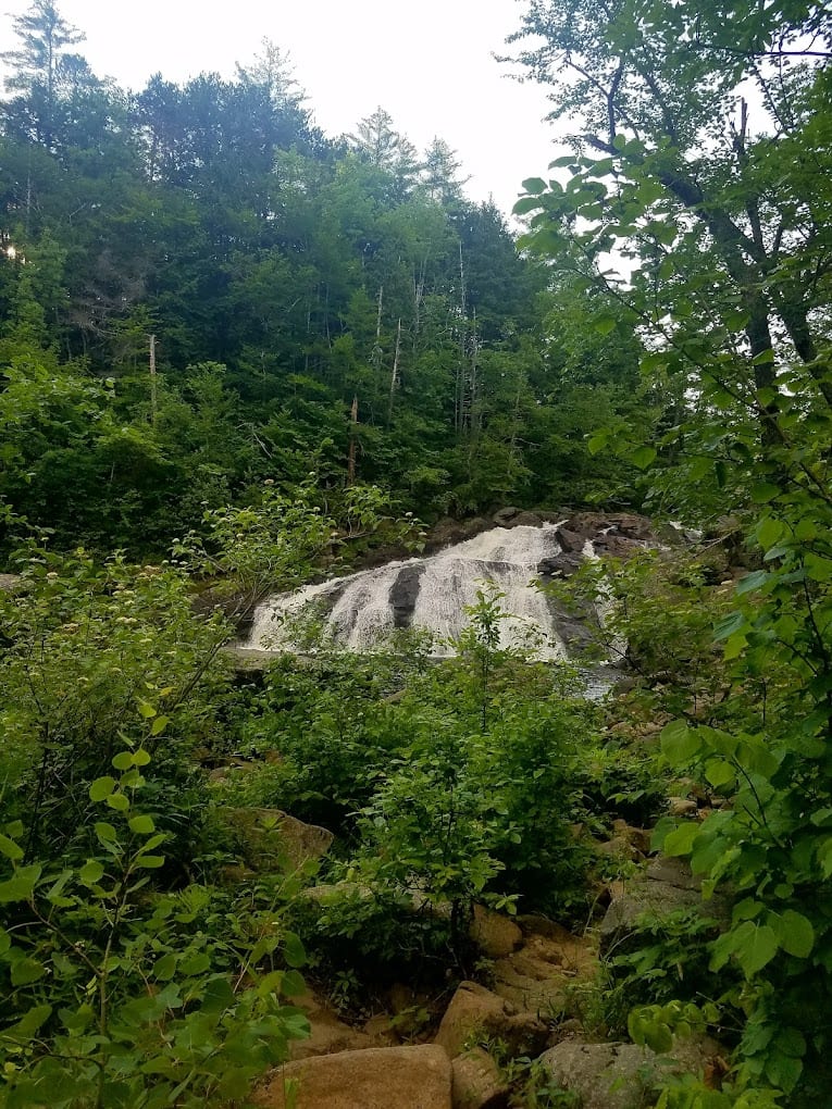 Forest Waterfall at Profile Falls in New Hampshire.