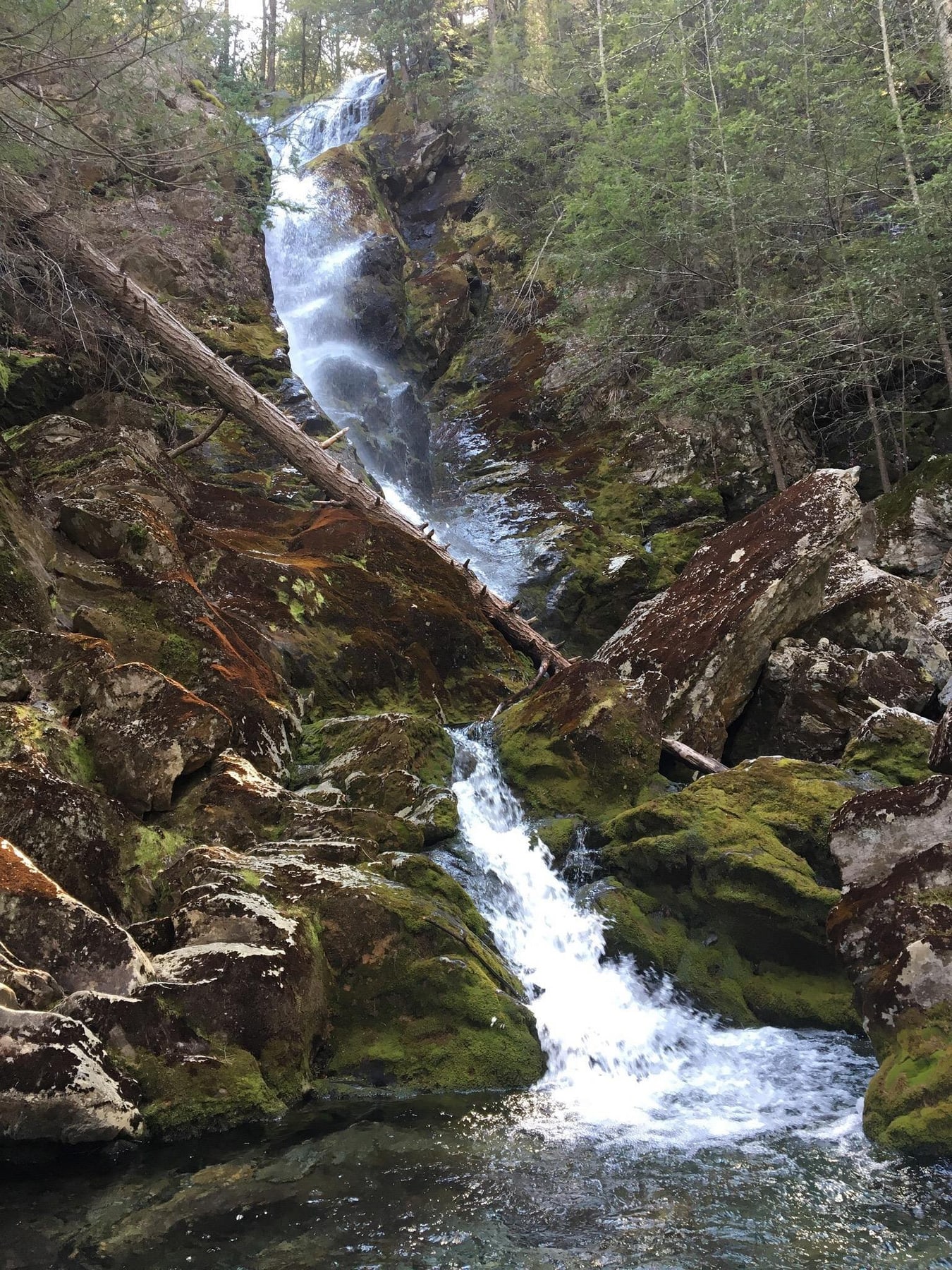 Mossy Cascade at Race Brook Falls in Massachusetts.