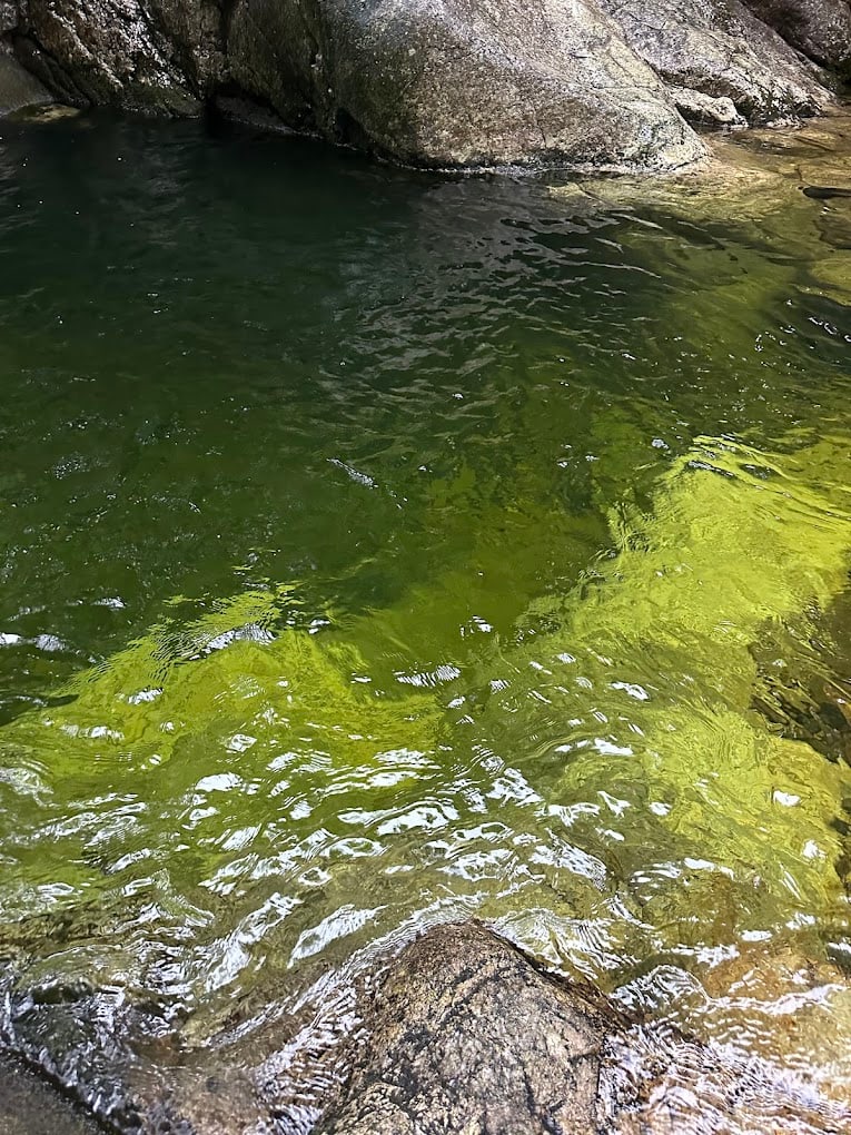 Green Water Close at Rattlesnake Pool in Maine.