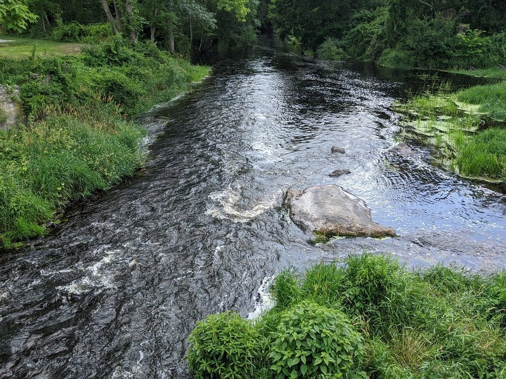 The Pawcatuck River flows past grass and rock just above Shannock Horseshoe Falls.