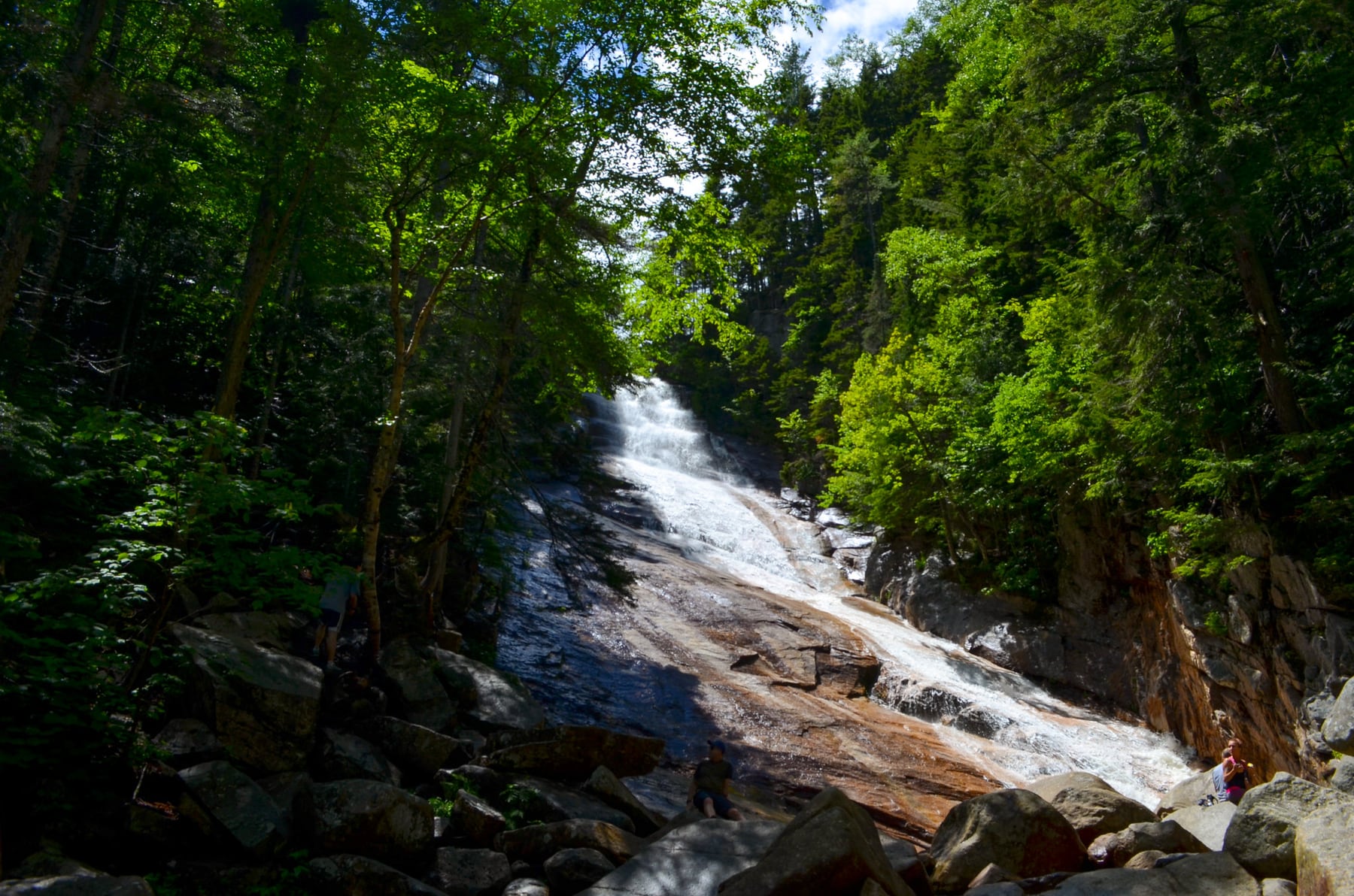 Ripley Falls flowing through a shaded green gorge in New Hampshire.