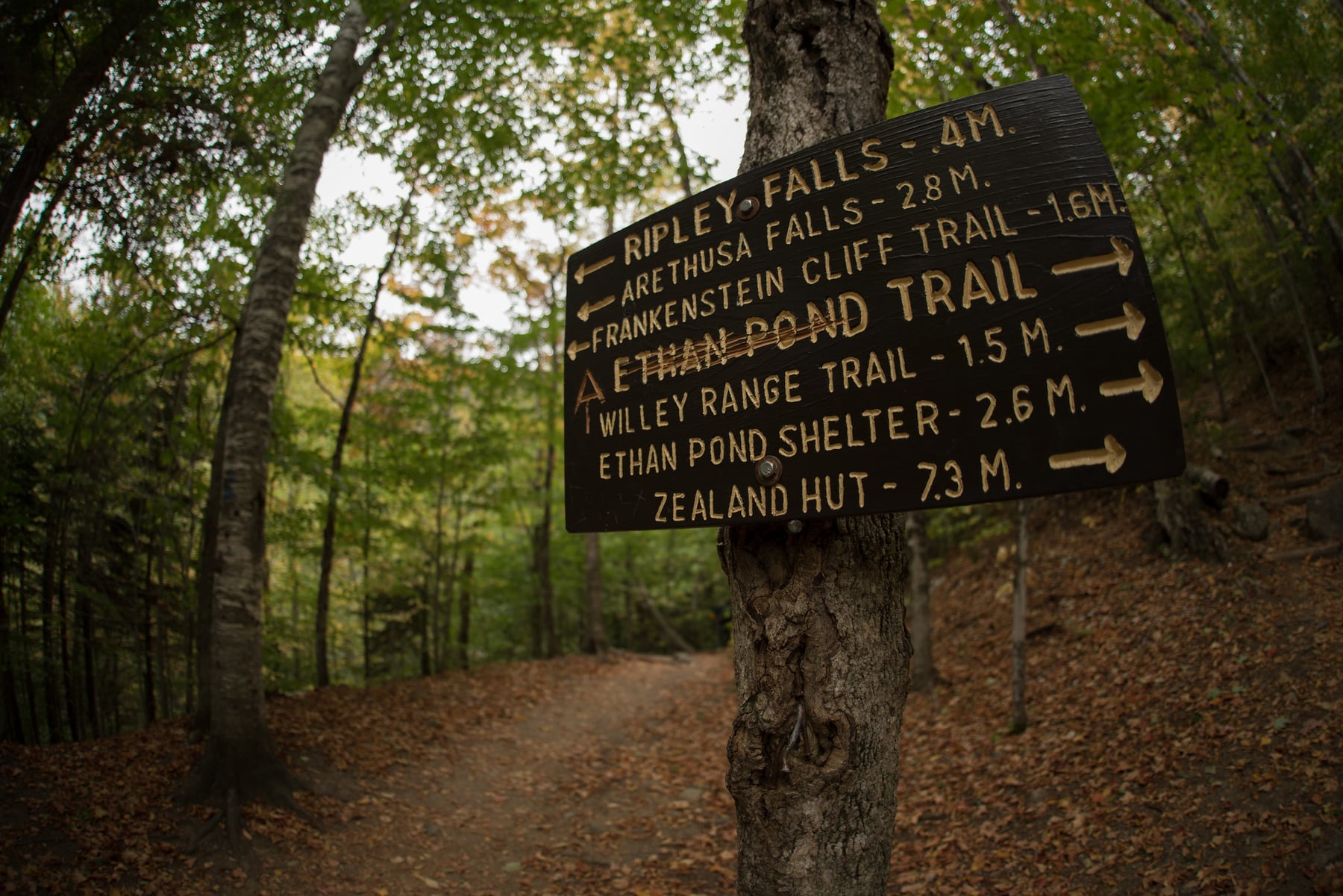 Trail sign pointing toward Ripley Falls and nearby White Mountain trails.