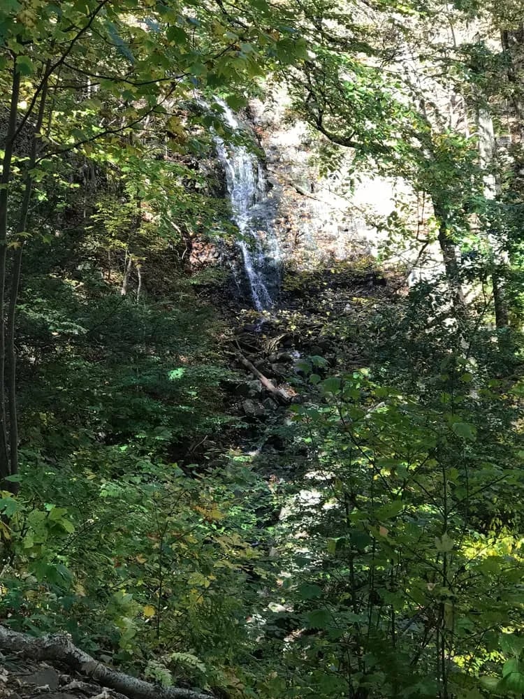 Distant Woodland at Roaring Brook Falls in Connecticut.