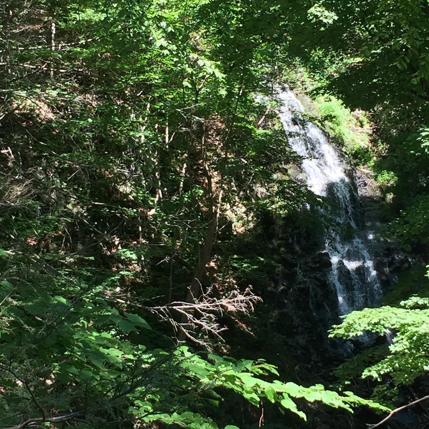 Shaded Forest Cascade at Roaring Brook Falls in Connecticut.