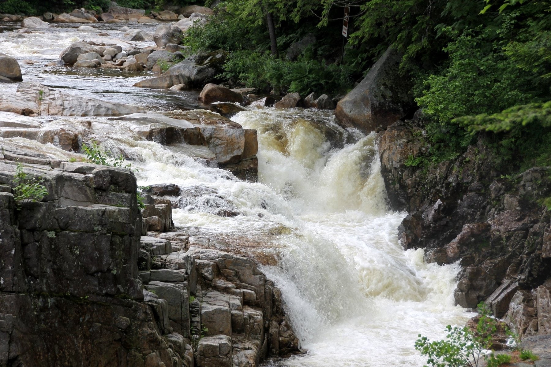 Rocky Gorge Scenic Area freshwater swim scene in New Hampshire.