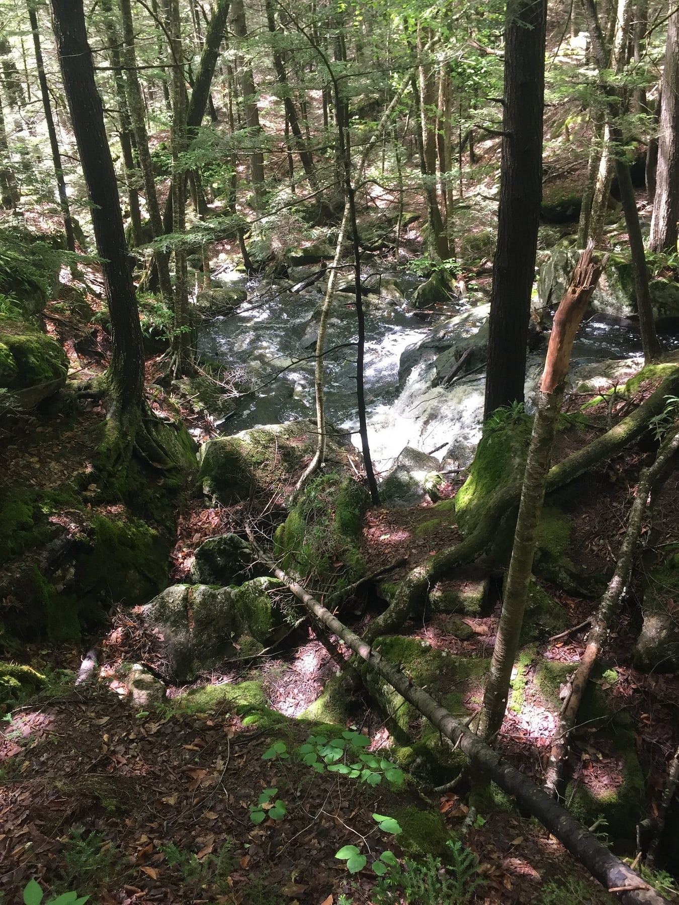Close Cascade at Royalston Falls in Massachusetts.