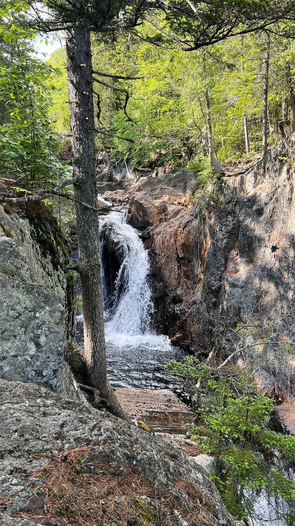Forest Gorge at Smalls Falls in Maine.