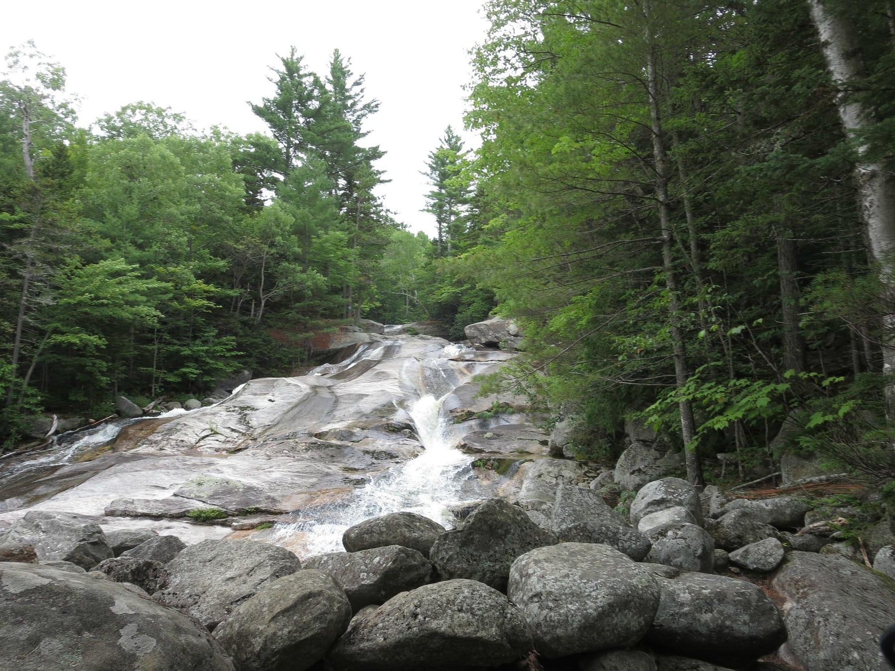 Forest Slide at Step Falls in Maine.