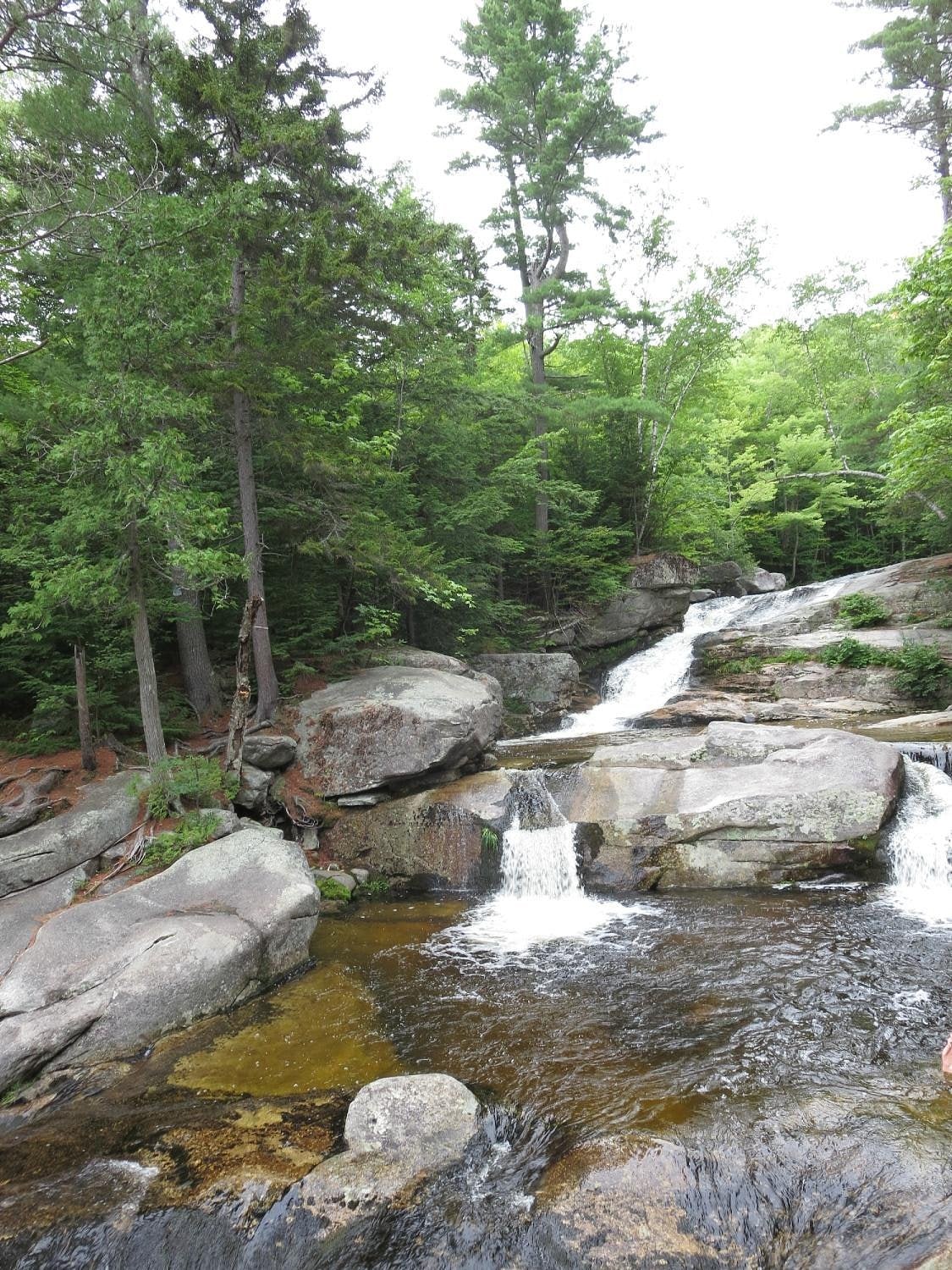 Trail Fence at Step Falls in Maine.