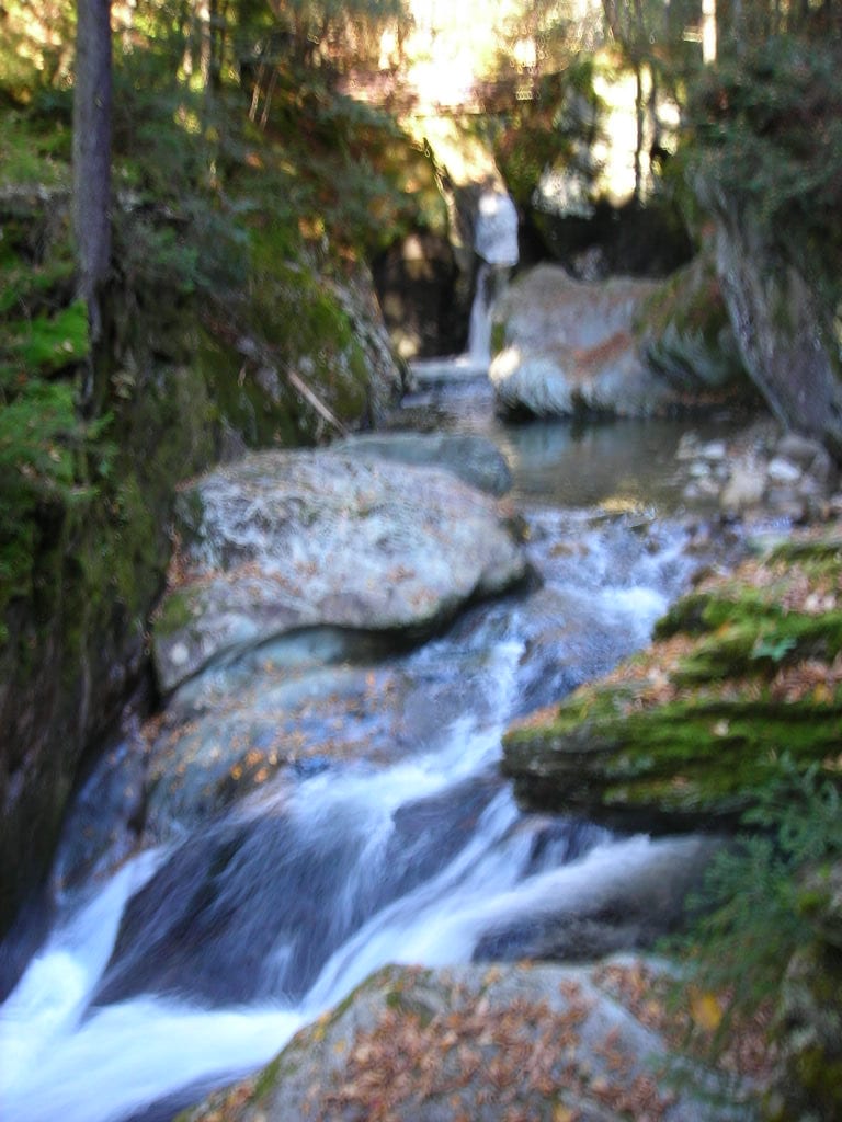Picnic Loop Forest Gorge View at Texas Falls in Vermont.