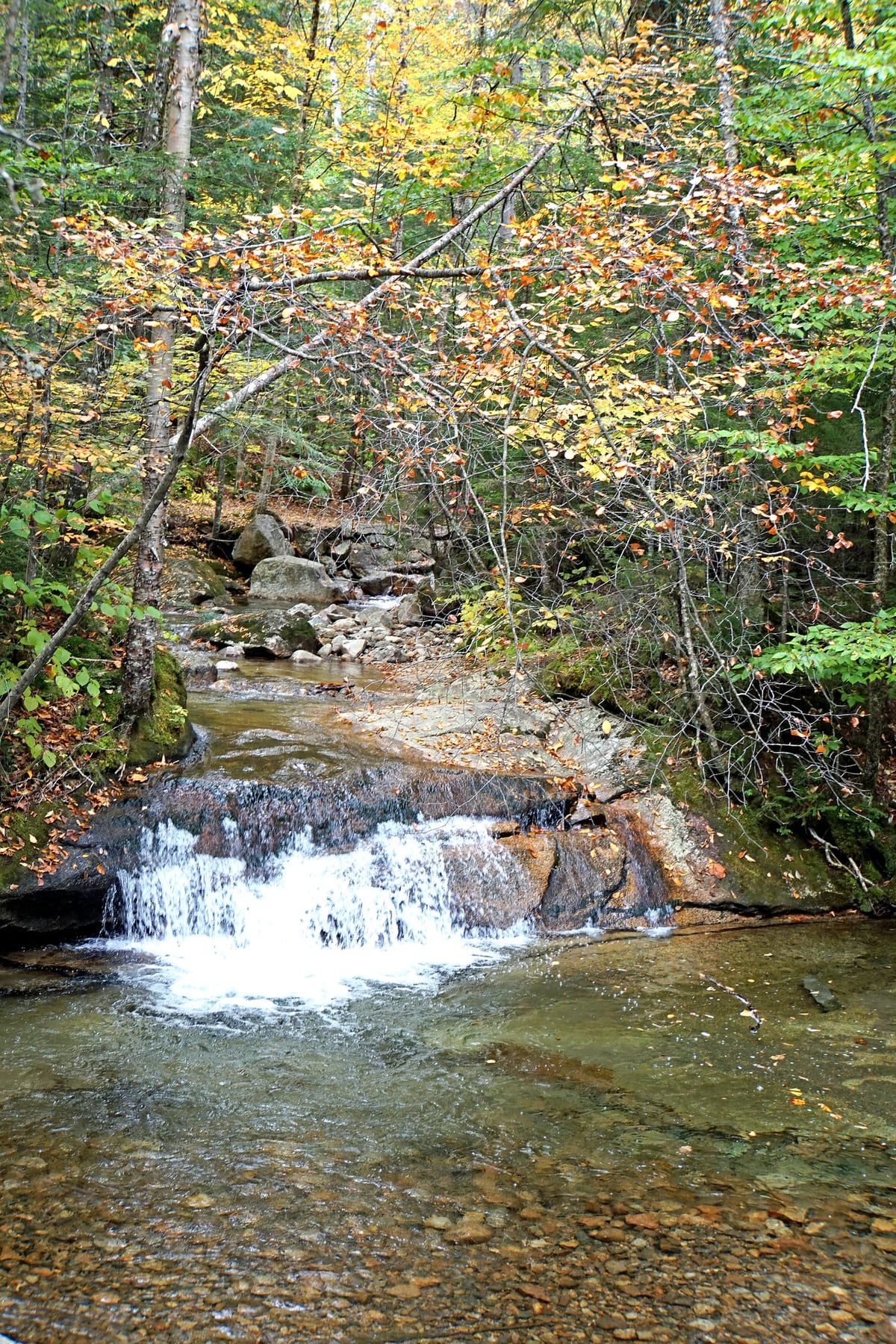Autumn Brook at The Basin in New Hampshire.