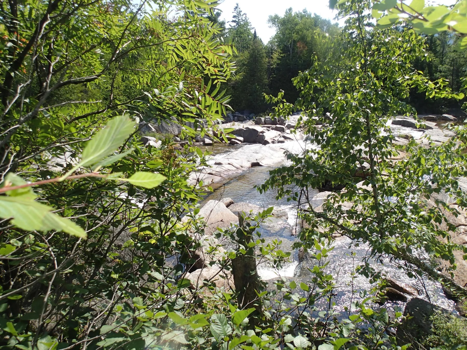 River Rapids at The Ledges in Maine.