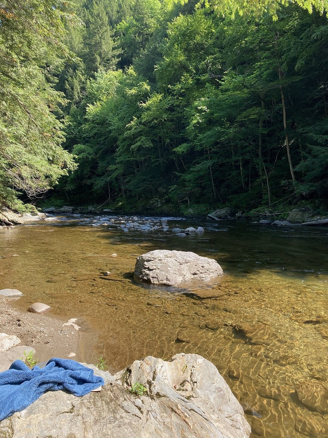 The Huntington River runs clear beside forested banks near Huntington Gorge.