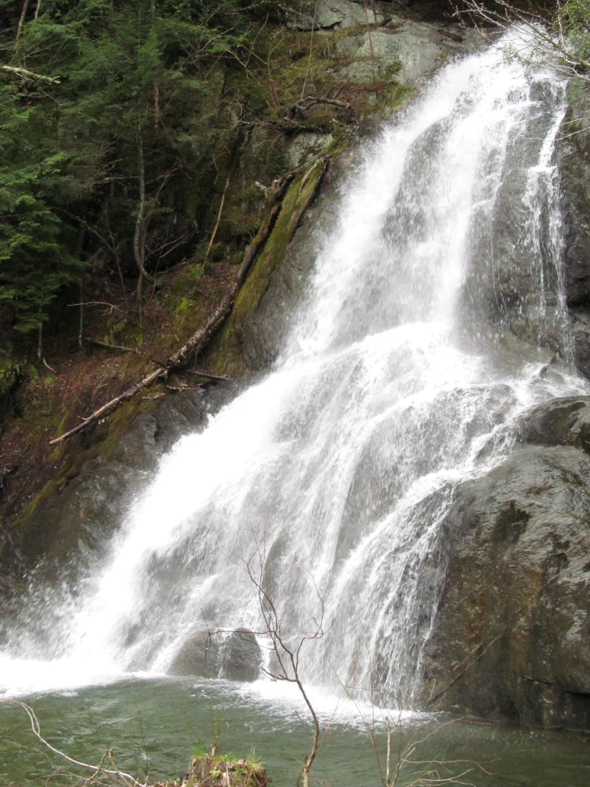 Close view of whitewater at Moss Glen Falls in Stowe pouring over mossy rock.