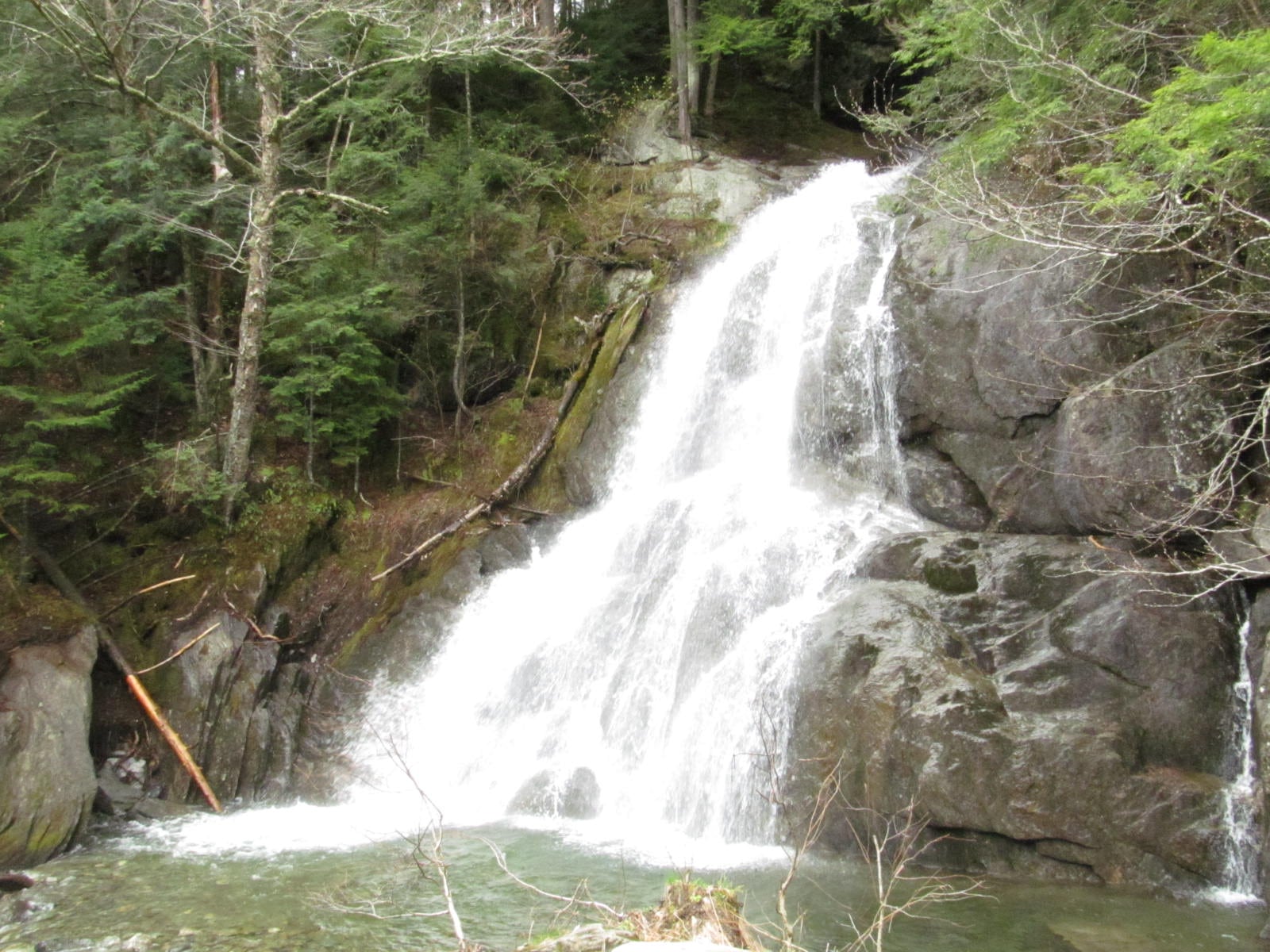 Side view of Moss Glen Falls in Stowe spreading across rock beside a forested pool.