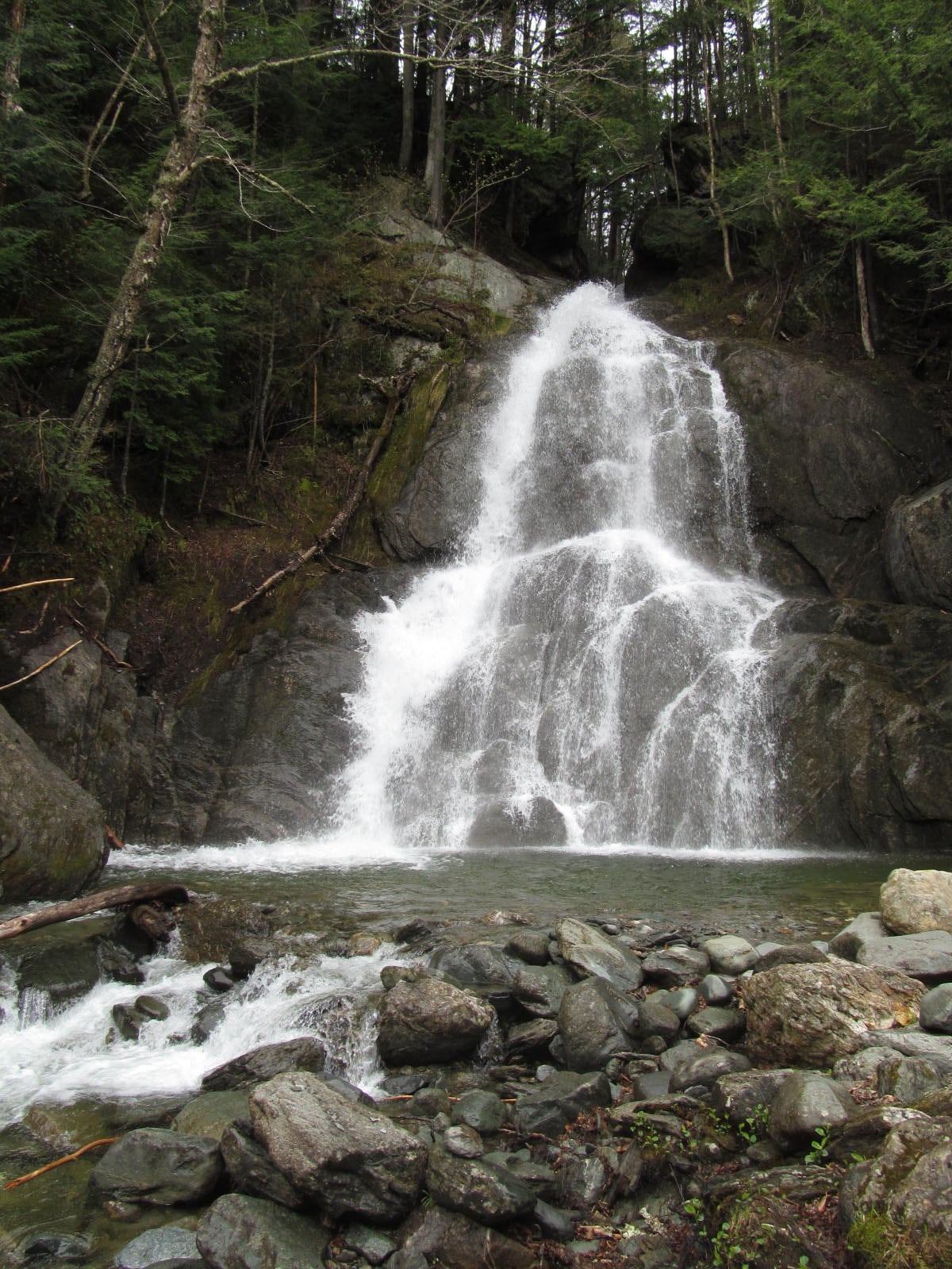 Tall vertical view of Moss Glen Falls in Stowe framed by evergreens and wet ledges.