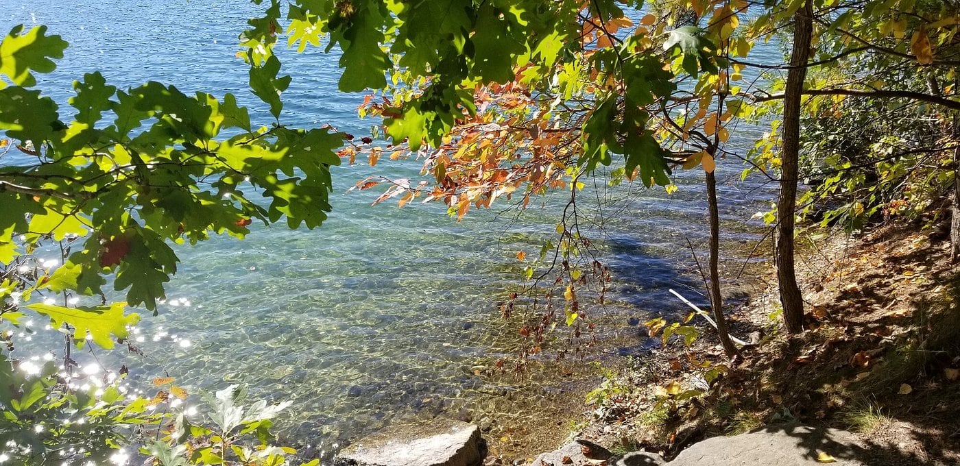 Clear shallow water and leafy shoreline along Walden Pond in Massachusetts.