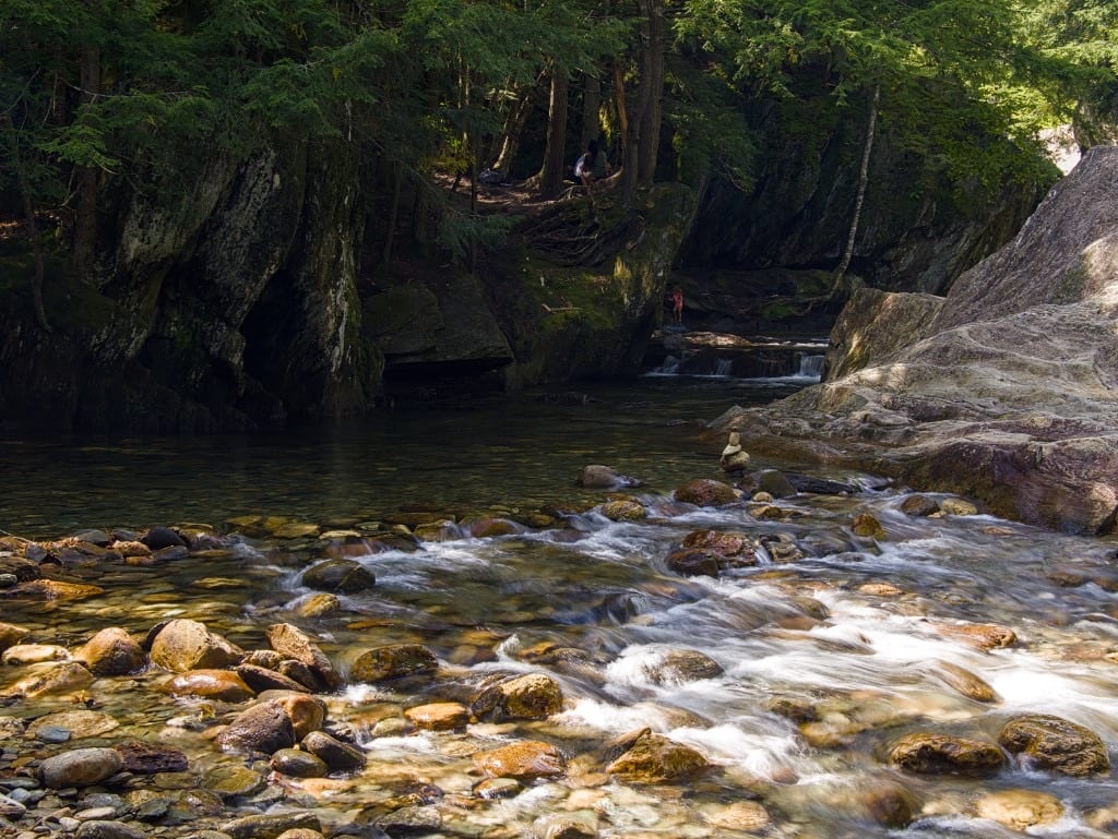 Forest Brook at Warren Falls in Vermont.